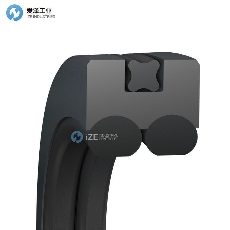 BUSAK+SHAMBAN（B+S）格萊圈PQ0201250-T46N