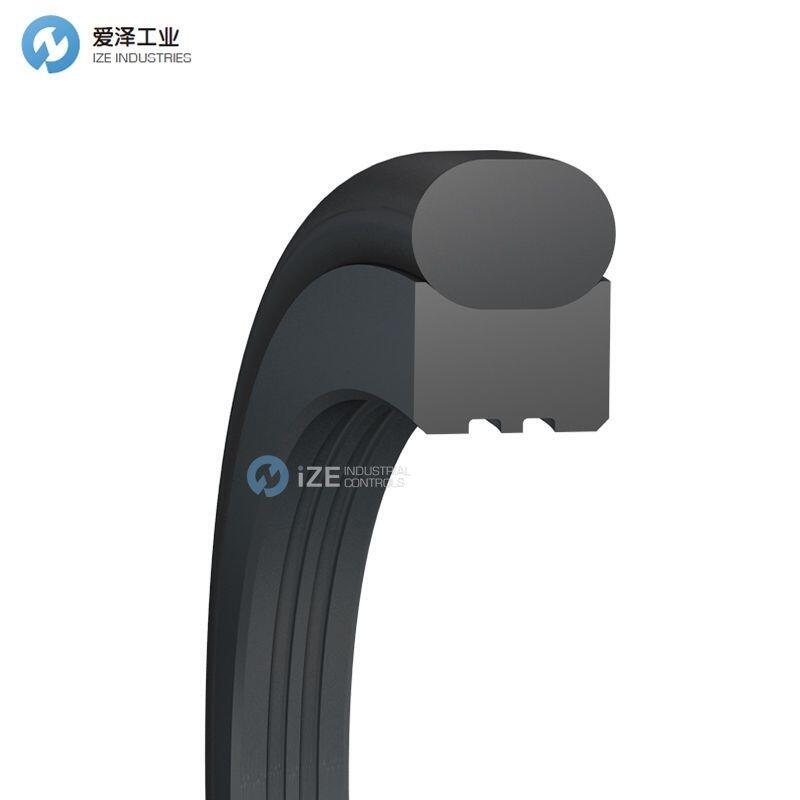 BUSAK+SHAMBAN(B+S)格萊圈TG3200900-T10N