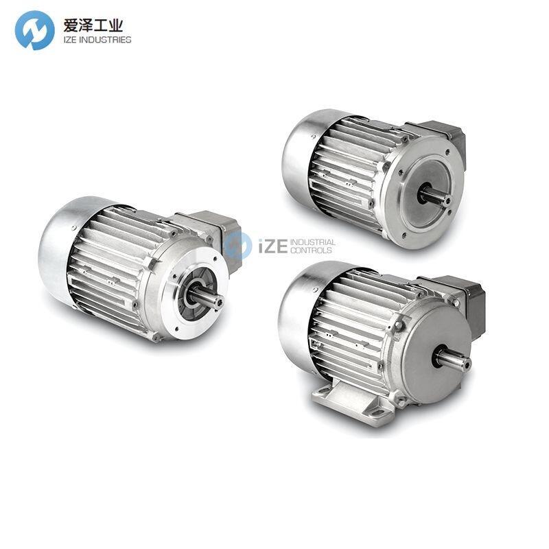 LAIPPLE電機(jī)MA71b2