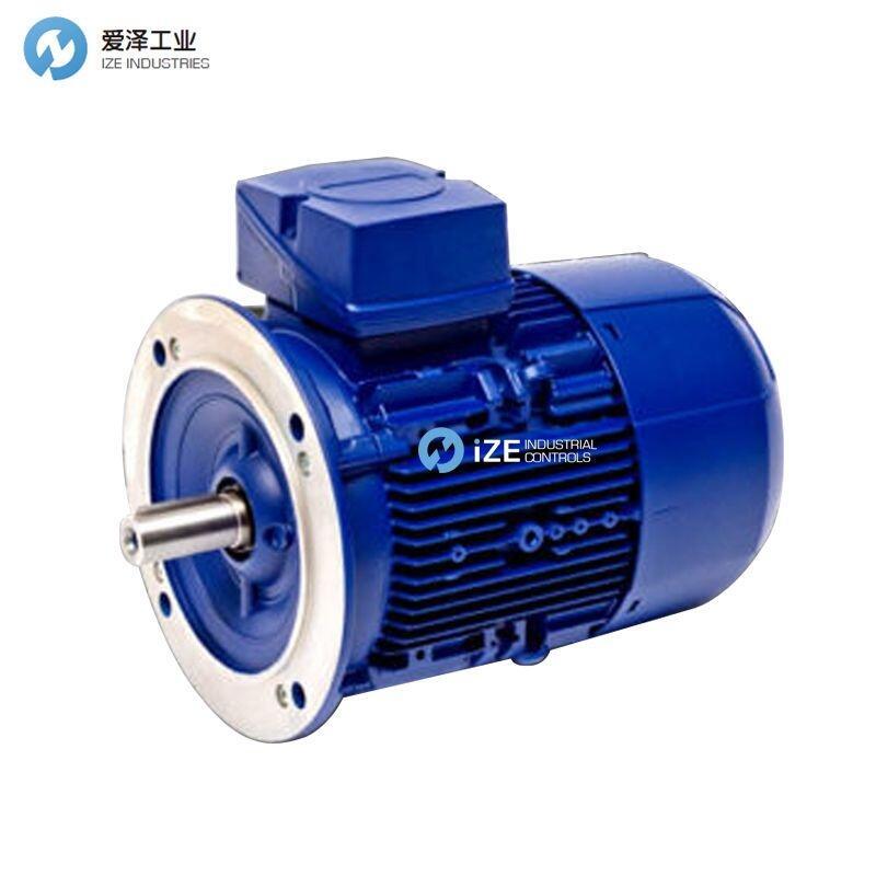 ROBERT BIRKENBEUL電機6APE160M-6-IE2