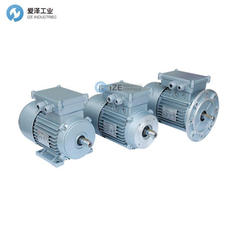 BER-MAR電機(jī)AF.71.S4.5000