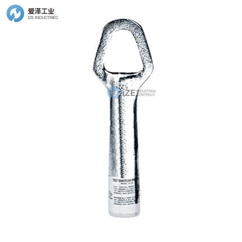 THERMO RAMSEY傳感器20-59-NM-8M