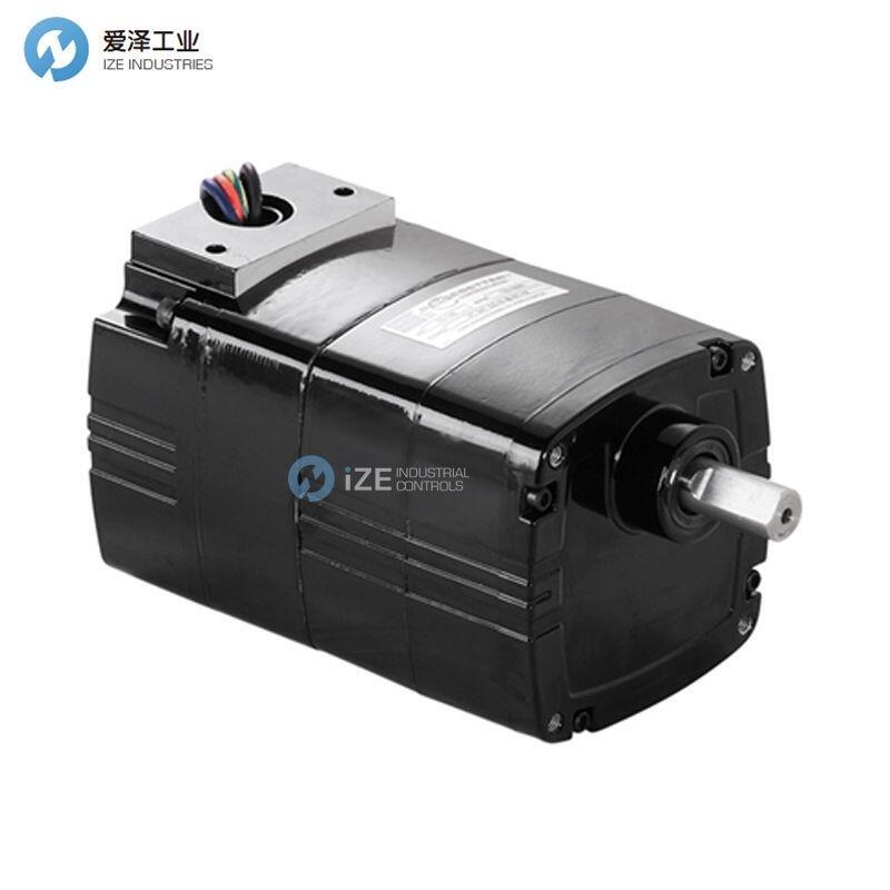 BODINE ELECTRIC電機(jī)30R2BECI-D3