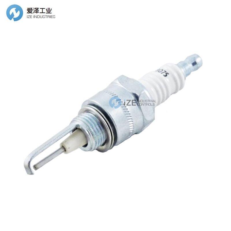 MAXON點(diǎn)火棒18075