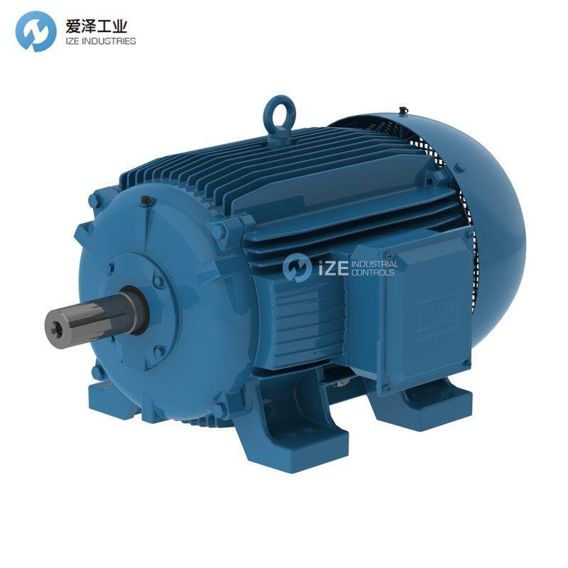 WEG電機W20-200L-04