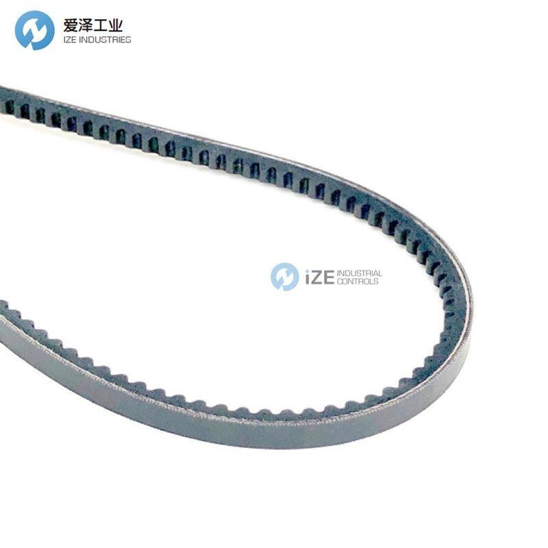 BUKH V型皮帶 542A0602