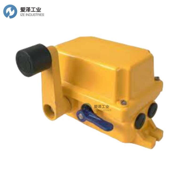 DUK錯位開關(guān)LHP-EX2002-L50