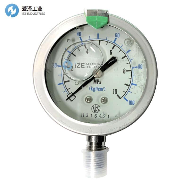 NAGANO壓力表GV50-1734000010XXXX1