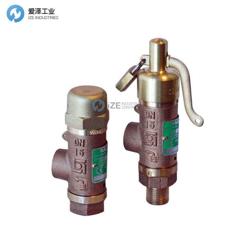 BAILEY安全閥70752EL