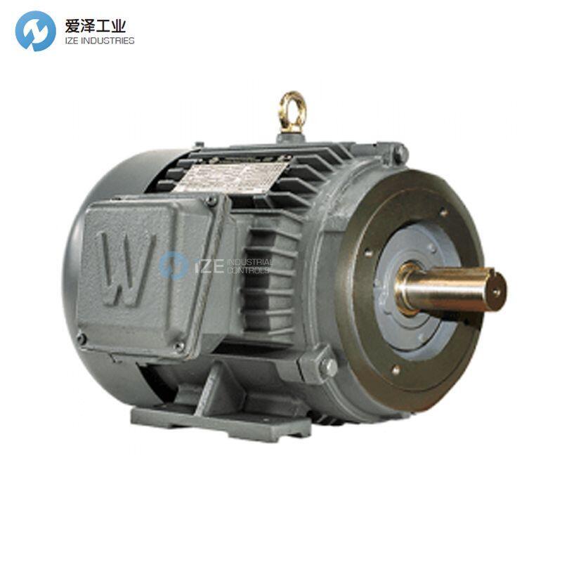 WORLDWIDE ELECTRIC電機PEWWE20-18-256TC