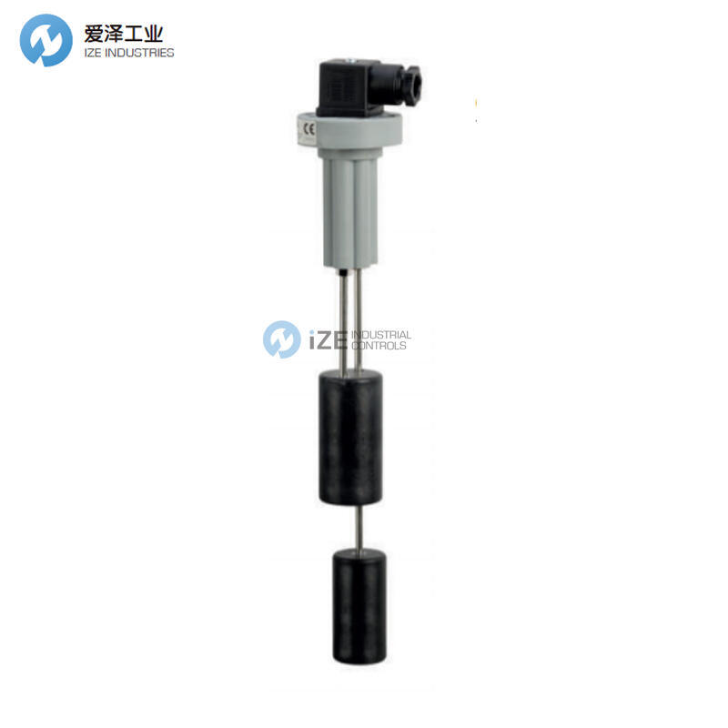 F.LLI GIACOMELLO液位開關(guān)RL/G2-F3-S2+S2-1000-0002