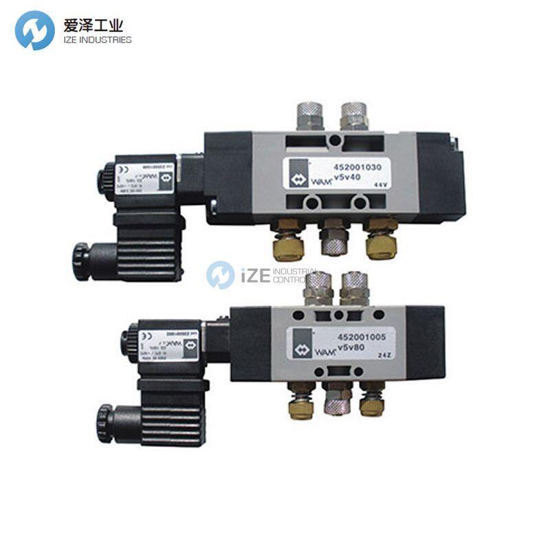 WAMGROUP閥V5V80X11050