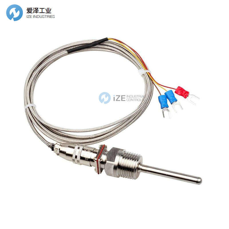 TERMICS熱電偶013289