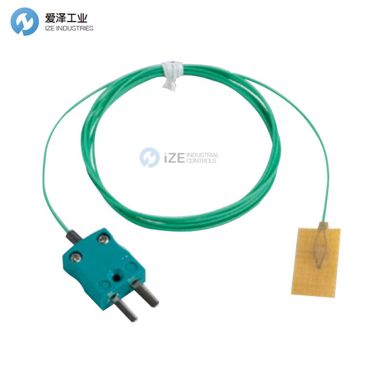 DATAPAQ熱電偶PA0831